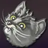 LCat