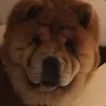 cm✪n