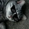 yuri_zzz