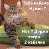 Шишио Макото