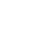 the_shadow