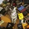 shoegazzer