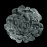 Salo0293