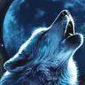 nwolf27