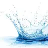 splassh