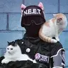 The_Name