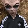 Pes