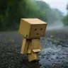 ripin