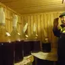 sardonix