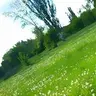Koroleva_Styhy