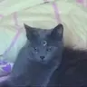 Evil_Arthas