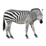 Zaphire
