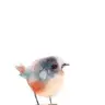 BOV