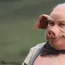 Свинобаза