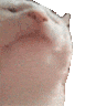 Dimoniys98