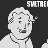 svetreg