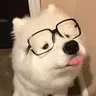 no_phobos