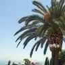maxxy18