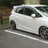 radikal