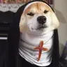Животное