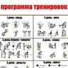 Sbitnevs
