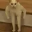 NasMan