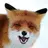 Vulpes