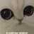 честер