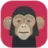 chidao
