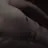 alexfox203040