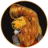 eqvipe