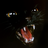 katze