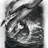 Whale8045