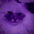 Conix