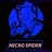 Necro_Spider
