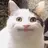 Extezzi