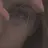 Storpex