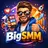 bigsmm