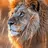 seriuslion