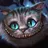 CashirCat
