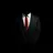 Andrey1702