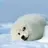 Fabulous_tylien