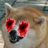 Mondax