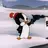 Gooker