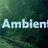 Ambient
