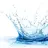 splassh
