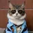 Maestro Cat