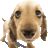 Oren