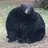 Yuudai