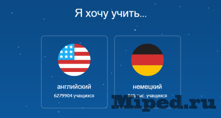 Как быстро изучить немецкий и английский язык через Duolingo